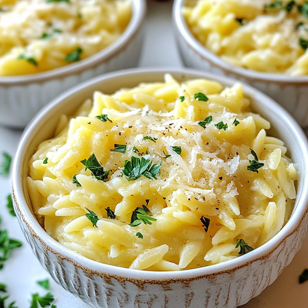 Creamy Garlic Parmesan Orzo Velvety and Savory Dish